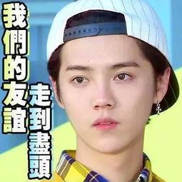 娱乐吃瓜是真是假